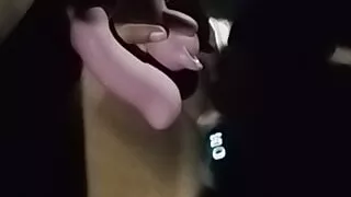 Vaquita masturbating in the car