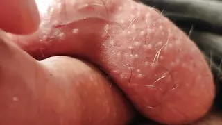 Playing with the champion of battles