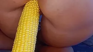 Corn in Marika