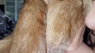 POV homemade I fuck my husband in my fur coat and my big tits jiggle on my hairy butterfly pussy