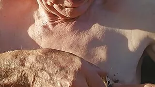 nipple torture with spiked clamps and tens unit