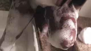 Big Ass Ebony Babe Is Toying Her Wet Cunt in The Bathroom