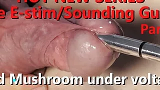 The Estim Sounding Guide P1 Mystim Proper Finn Close-up sets red uncut Mushroom under Voltage w Live Audio 4K 60fps