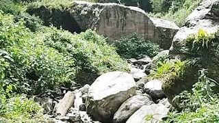 Indian Bhabhi Jangal Ghumte Ghumte Chudai Keya Boyfriend Ke sath