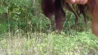 Here's how La Farnese welcomes old friends (film in Italian good resolution)