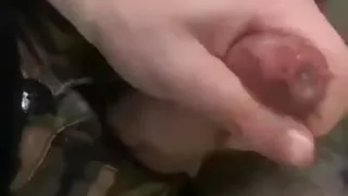 Military trellis sperm