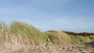 Public - Dutch Beach Suck