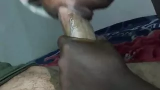 Human Cock Sucking Ebony with a White Dick