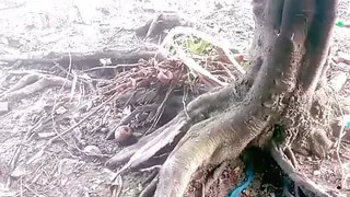 Naibroat bhabhi cjance his dress side the pond.