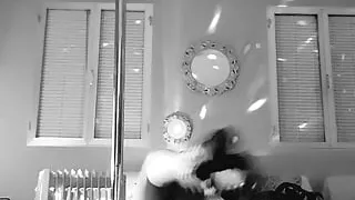 Black and White Striptease