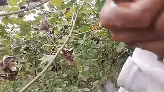 Best dick of the year