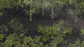 Lust Epidemic - Part 39 - Too Much Intercourse Here