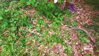 1000 slaps to her tits and 1000 to her pussy in the woods