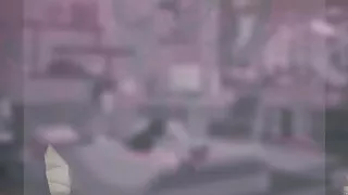 Your Little Cock Packs a Fertile Seed