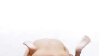 The Pleasure of the Widow's Vagina