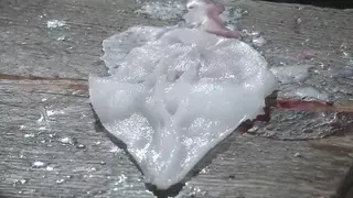 Tied up asian slut wearing glasses gets her pussy rubbed