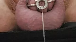 Lot of precum estim and small chastyty