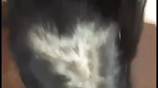 I Hope Your Doesn't See This Because He Would K. Me