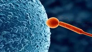 Koumi Jima Shuu 7 De Umeru Mesu-tachi Sex Scenes Demosaic Hentai