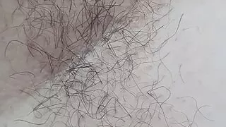 Hairy Armpit Show