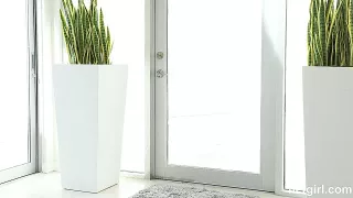 Ebony fickt mit weißem Pimmel