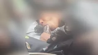 Energizer Bunny Blowjob