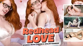 YANKS - Compilation Updates 2nd Sept to 6th Sept '24