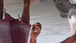 Rever Show the Indian