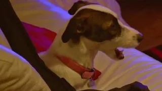 Tammie and  Ollie at Real Couples