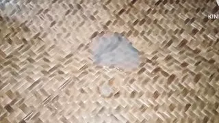 Sister-in-law's ilgal contact with brother-in-law.