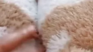 He told me they beat me ???? and won for me