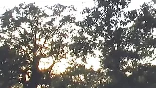 Depravities in the Countryside