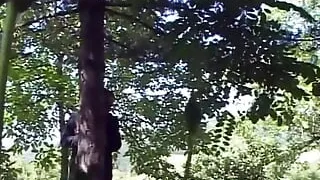 Dominated, tied and drilled women