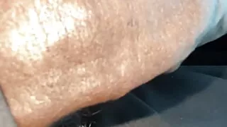 Cms BBC in the Flesh