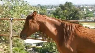 Blonde babe peggs a massive guy with tight asshole outside