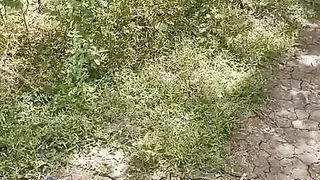 Desi step aunty out door sex video