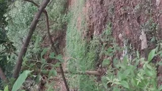 Mohini Bhabhi indian beautiful jungle fucked by turion teacher by outdoor