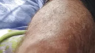 Sweaty furry after a run in the sun.