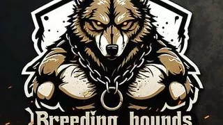 Tattooed hairy stud steals his roomate massive dildo and tries it.