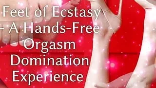 Feet of Ecstasy - a Hands-free Orgasm Domination Experience