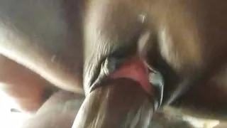 Sri Lankan Back Wrong Holy Fuck With a Big Cock - Teen Couple - Risky Dogyy Style