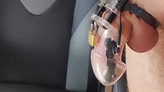 Extreme punishment with electric shocks excites Dad.