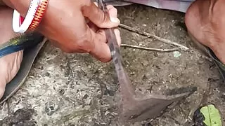 Village spade pussy with I quenched my thirst nomita boudi