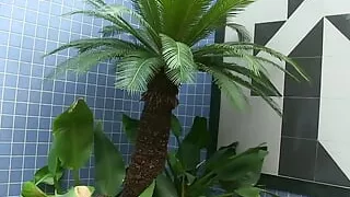 Two shemales and a man know how to give themselves pleasure