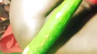 Indian Village Veenax82 wife Fuck by Nenua