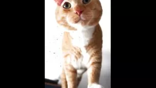 Drawing a Picture with My Naked Body