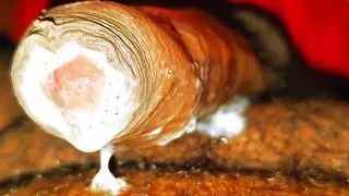 Desi real homemade blowjob and cumshot