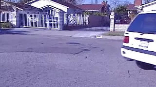 Redhead lesbian babes satisfying each other's needs