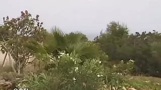 College teens are swinging  DVD