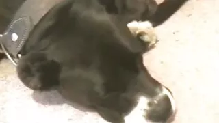 Tt022 - teeny passion